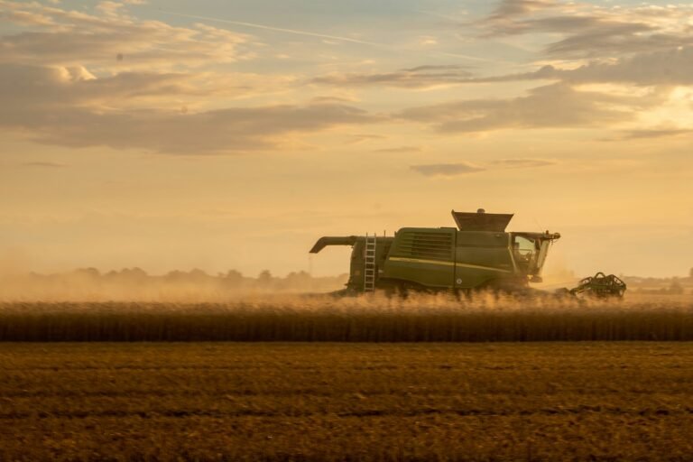 Fundos Agro: Como Investir no Potencial do Agronegócio