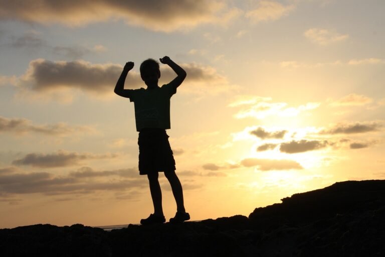 O Efeito Vencedor: Como Criar um Ciclo de Sucesso na Sua Vida O Efeito Vencedor: Como Criar um Ciclo de Sucesso na Sua Vida